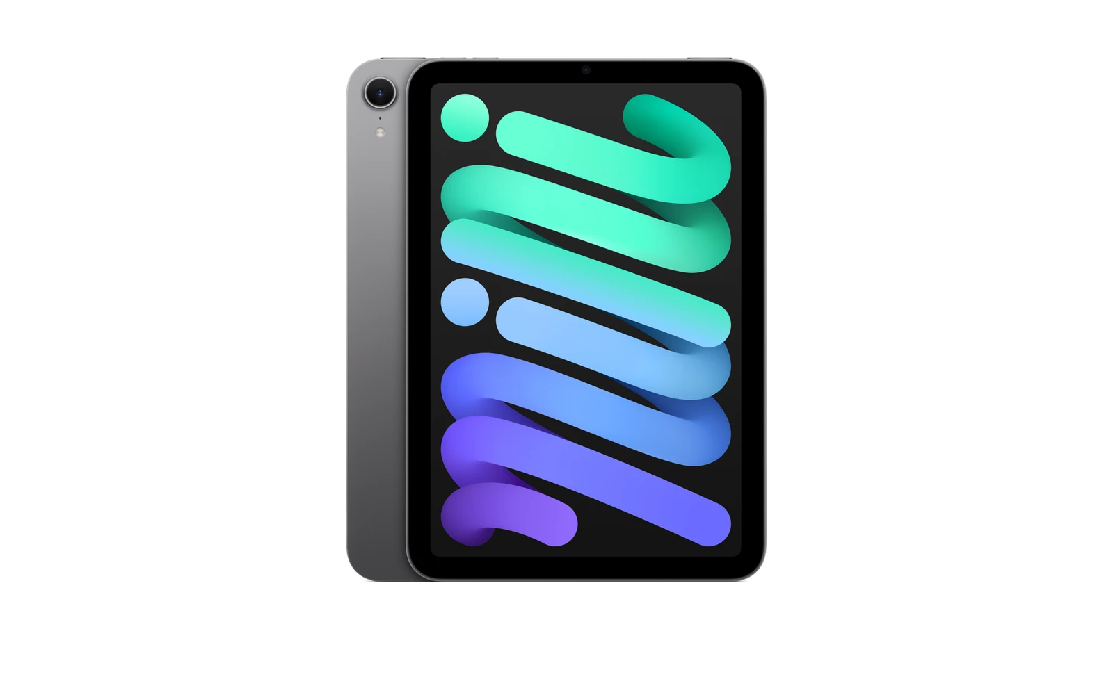iPad mini Gris espacial